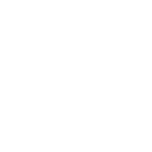 4n6 Logo - White